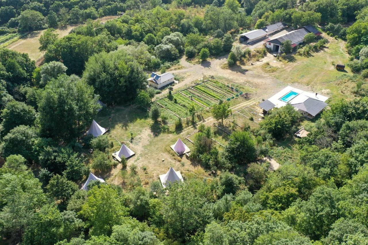 Gipsy Village Park Hotel Asureti Buitenkant foto